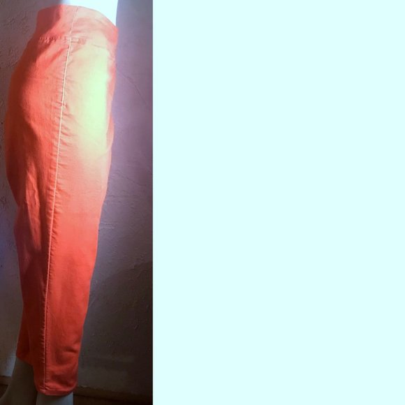 DG By Diane Gilman  Orange Stretch Pants XL - Picture 8 of 8